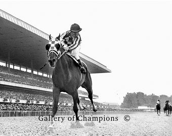 Secretariat Belmont Stakes Photo D12