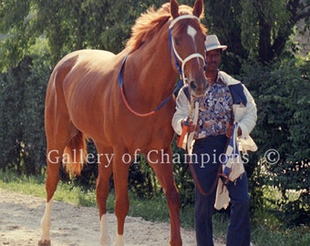 Secretariat 1973 Preakness Walk Photo #110