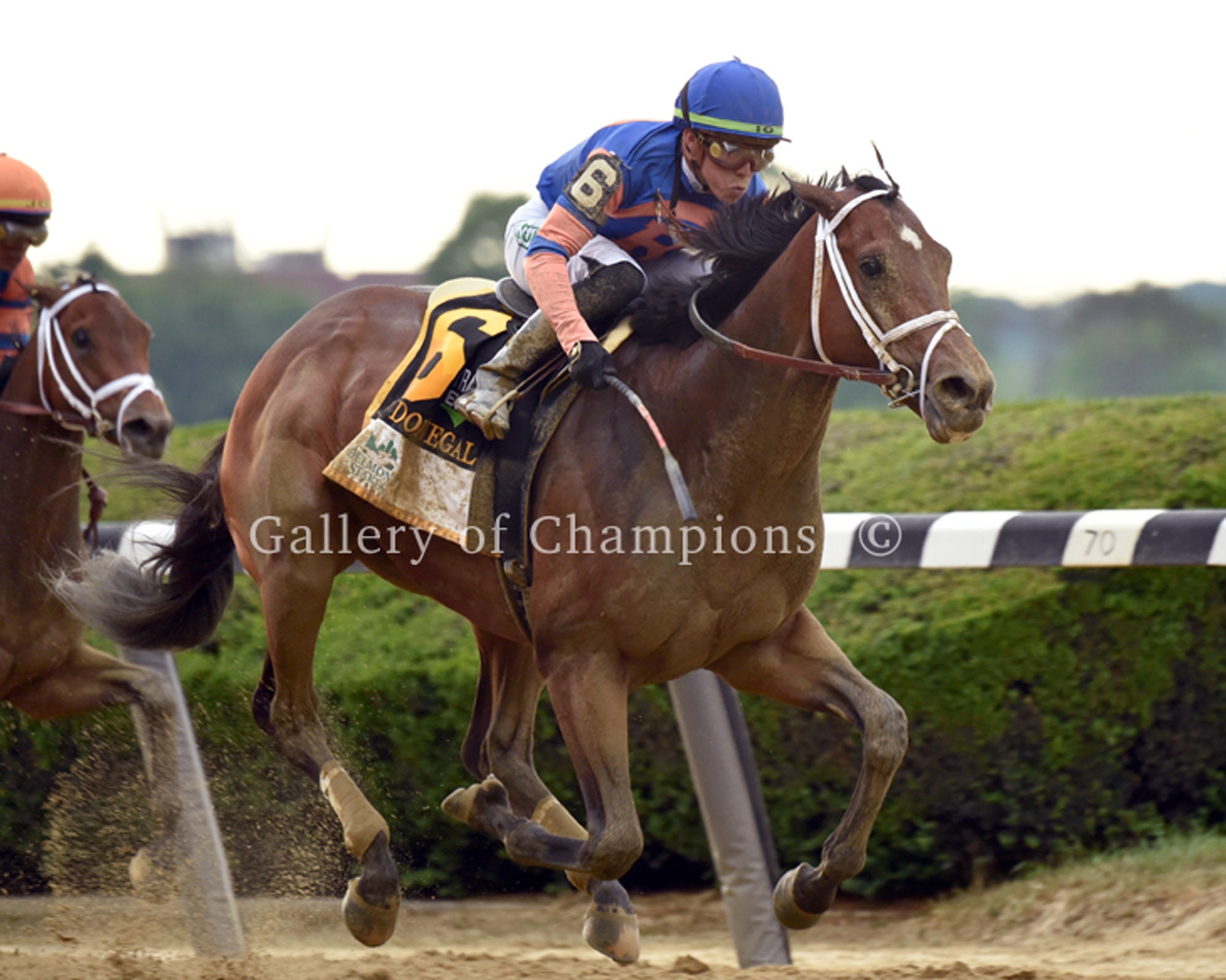 Mo Donegal 2022 Belmont Stakes Photo Etsy