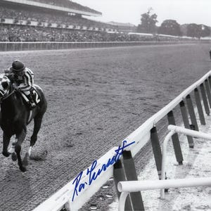 Secretariat Belmont Stakes Look Back Photo 8x10 Signed Ron Turcotte