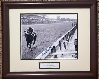 Foto firmata incorniciata 8x10 del Secretariat Belmont Stakes