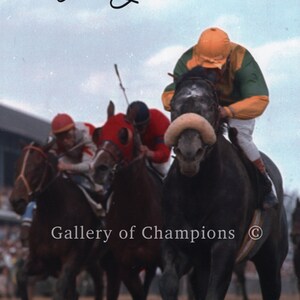 May include: A black and white photograph of a horse race. The horse in the lead is a grey horse with a jockey wearing a yellow and green jacket. The jockey is leaning forward and the horse is running with its head down. The other horses are blurred in the background. The photo is signed "Bobby Unser" and has the text "Gallery of Champions" in the bottom centre.