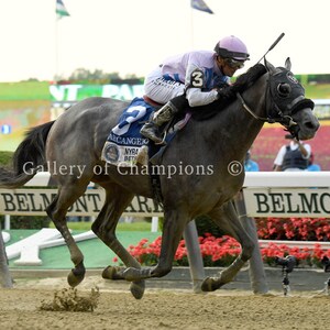 Arcangelo 2023 Belmont Stakes Finish Photo