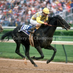 1985）サンデーサイレンス (Sunday Silence)写真額 競馬関係
