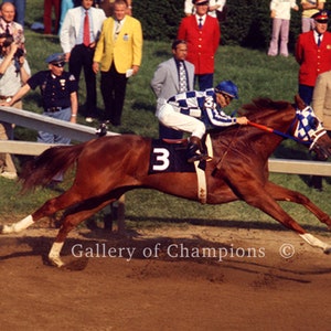 Secretariat 1973 Preakness Photo #114