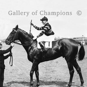 Man o&#39; War 1920 Belmont Stakes Photo