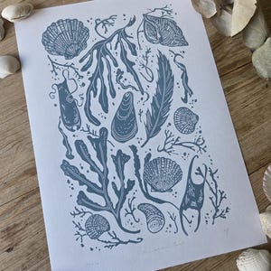 May include: A blue-grey print depicting marine life, such as seashells, seaweed, and a feather. The print is on white paper, with seashells scattered around it on a wooden surface. The print includes the text "T.Maddison Prints" and "29/50".