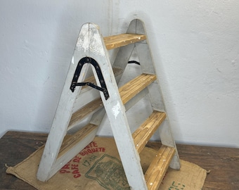 Scala a pioli, antica, classica, senza tempo, rara, regalo, panchina fiorita, giardino, scale