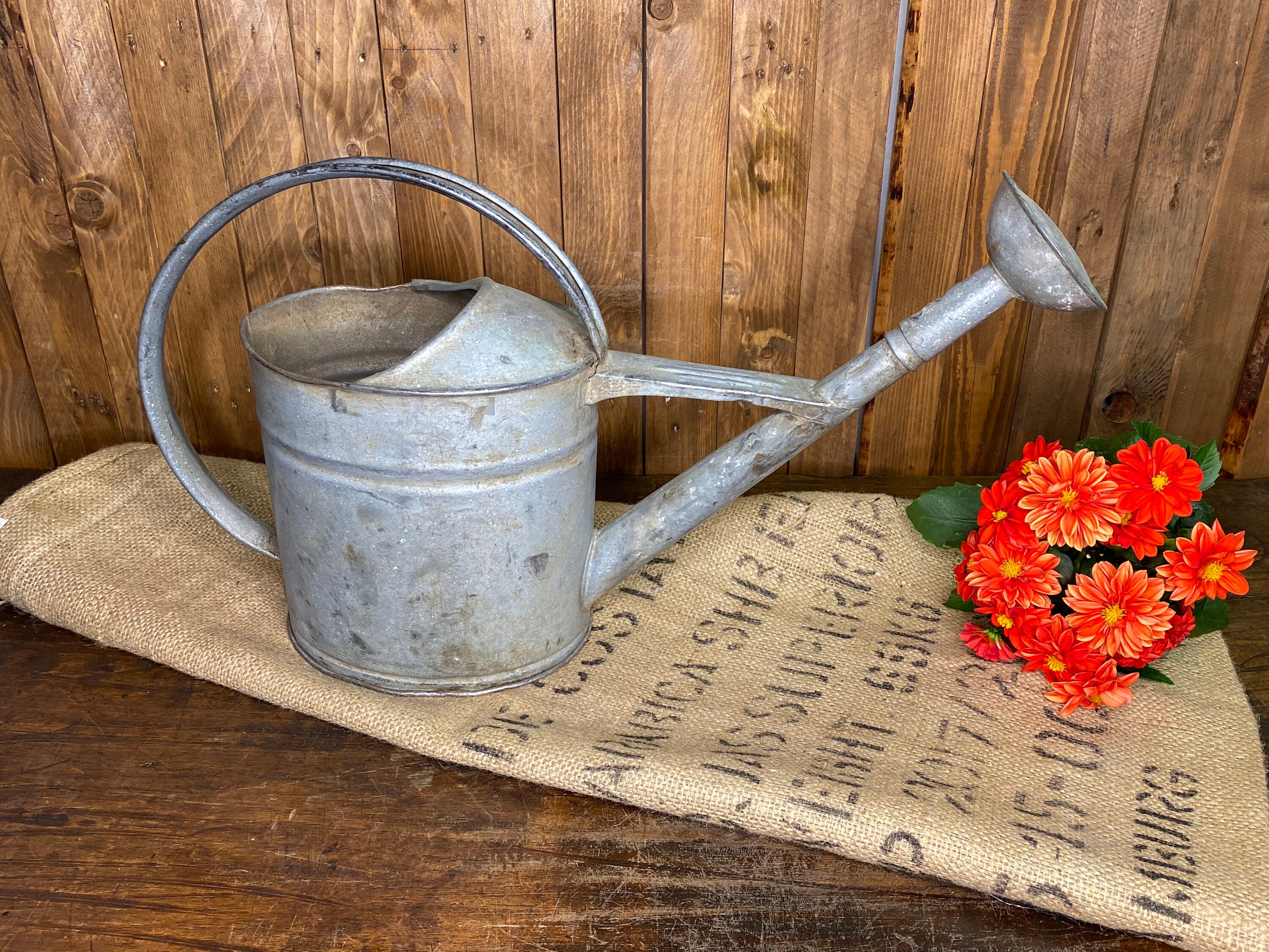 Annaffiatoio Vintage In Ferro - Vaso Decorativo Zincato - 2 Pezzi Con Maniglia - Rustico Per Casa, Ufficio, Giardino - 4