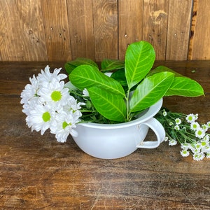 May include: White ceramic chamber pot with green leaves and white daisies inside. The pot has a handle on the side. The pot is sitting on a wooden surface.