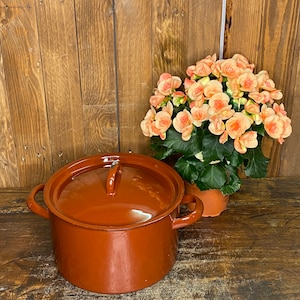 Op de afbeelding: Een bruine geëmailleerde gietijzeren pot met een deksel en twee handvatten. De pot staat op een houten oppervlak naast een potplant met roze bloemen.