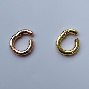 Può includere: Due orecchini a cerchio, uno dorato e uno in oro rosa, con chiusura a cerniera. Entrambi gli orecchini sono contrassegnati con "S925", a indicare che sono in argento sterling.
