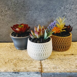 May include: Three potted succulents in different colored planters. The succulents are in various shades of green and red. The planters are gray, white, and yellow.