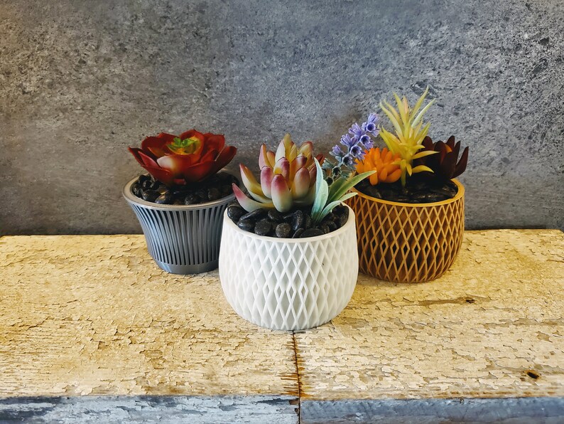 May include: Three potted succulents in different colored planters. The succulents are in various shades of green and red. The planters are gray, white, and yellow.
