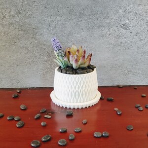 May include: A white ceramic planter with a geometric pattern, filled with small black stones and a succulent plant with purple flowers.