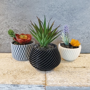 May include: Three potted plants with different colored pots. The first pot is gray and white with a red and green plant. The second pot is black with a green plant. The third pot is white with a purple and yellow plant.