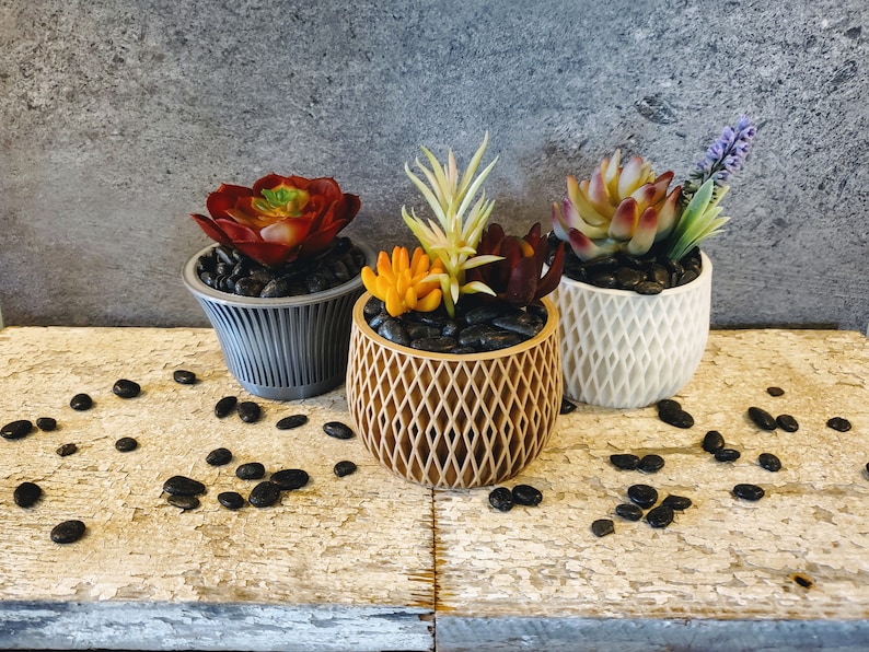 May include: Three potted succulents in different colored planters. The planters are a gray, white, and brown color. The succulents are in a variety of colors, including red, orange, and green. The plants are sitting on a wooden surface with black pebbles scattered around them.