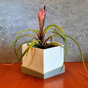 Modern Slanted Geometeric Succulent Planter, Cache Pot, Nursery Planter