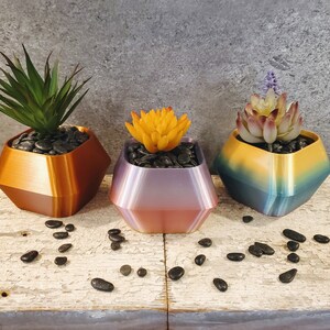 May include: Three geometric planters in different colours, each with a different succulent plant. The planters are made of a smooth, shiny material and have a modern, minimalist design.