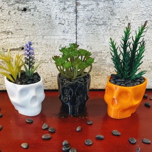 Creepy Spooky Skull Succulent Planter, Halloween Decorations