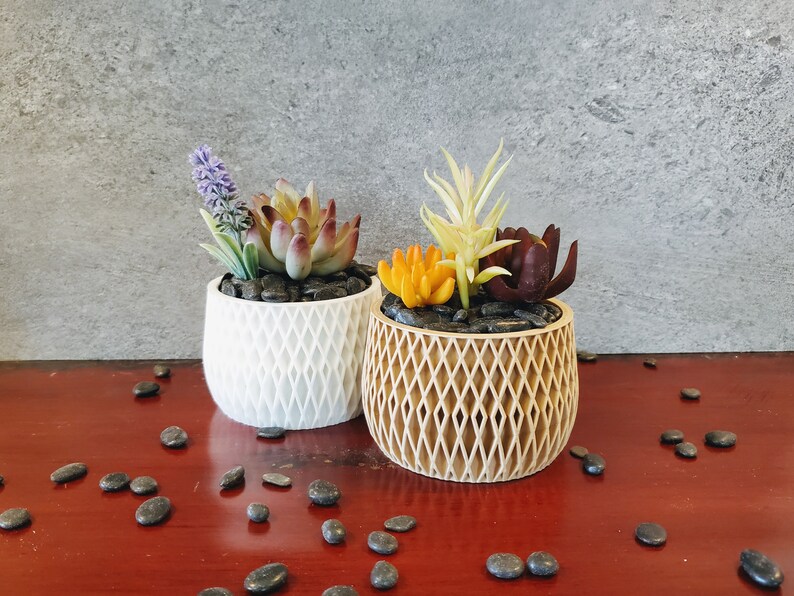 May include: Two small potted plants with different colored succulents and a lavender sprig. The plants are in white and brown geometric patterned pots. The pots are sitting on a dark red wooden surface with black stones scattered around them.