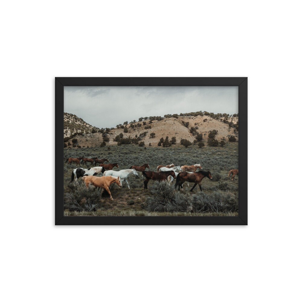 Wild Horse Photography Print On Paper FRAMED Landscape Mountain Poster wild-horse-photography-print-on-paper-framed-landscape-mountain-poster