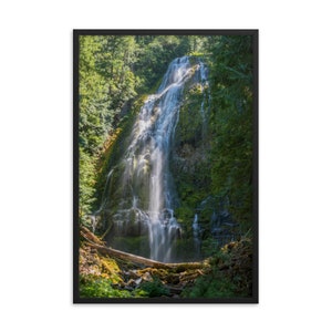Può includere: Stampa incorniciata raffigurante una cascata che scorre attraverso una foresta verde. L'acqua precipita giù da una scogliera rocciosa, creando un effetto nebbioso. Tronchi caduti e rocce muschiose si trovano alla base della cascata.