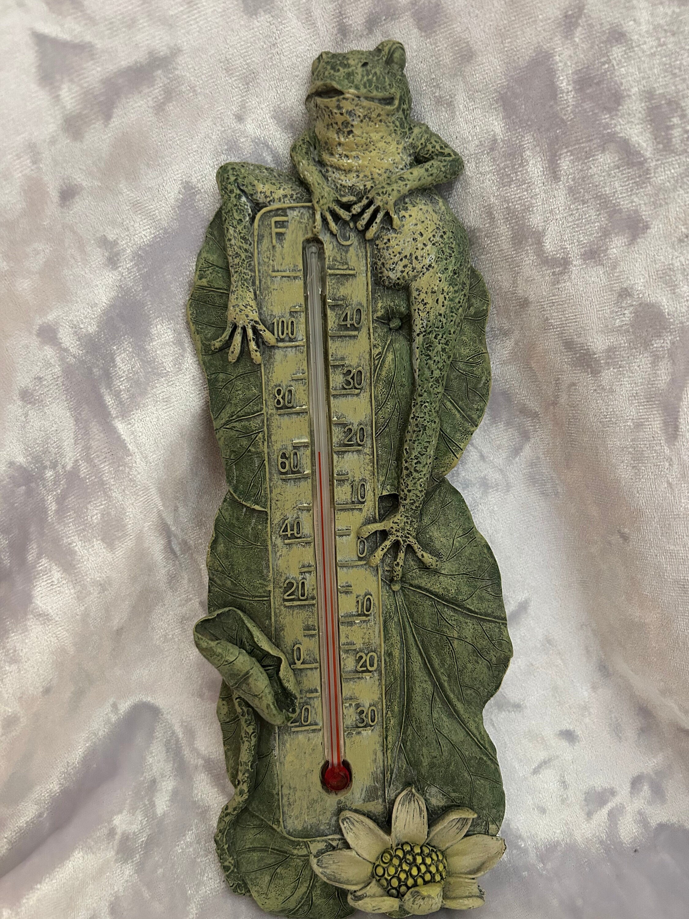 Frog Wall Mounted Thermometer