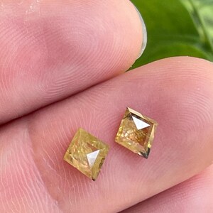 May include: Two square-cut, light yellow diamonds are displayed. The diamonds are held between fingers, showcasing their facets and clarity. The gems have a warm, golden hue, reflecting light.