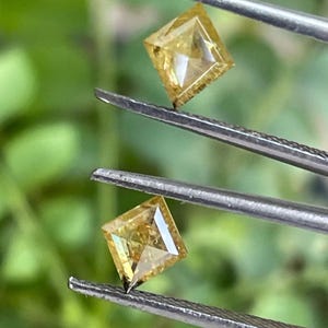 May include: Two square-cut, yellow diamonds are held by tweezers against a blurred green background. The diamonds have a brilliant cut, reflecting light. The tweezers are silver-colored.