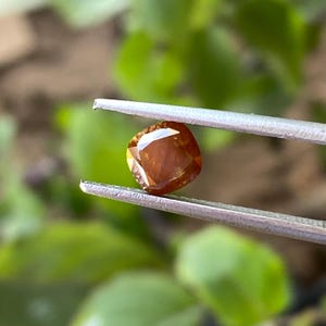 May include: A brown, square-shaped gemstone with a faceted cut, held in tweezers against a green background.