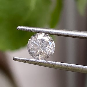 May include: A round, brilliant-cut diamond held by a pair of silver tweezers. The diamond sparkles with internal facets, reflecting light. The background is blurred green foliage.