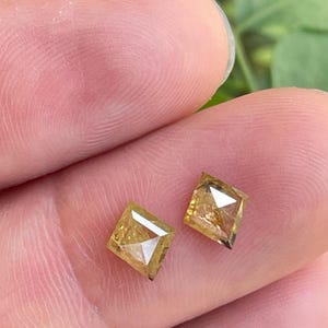 May include: Two small, square-cut, yellow diamonds are held between fingers. The diamonds have a slightly angled cut, catching the light. The background is blurred, with green foliage visible.