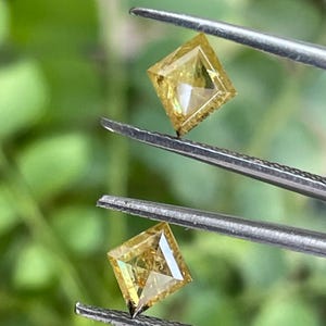 May include: Two square-cut, yellow diamonds are held by tweezers against a blurred green background. The diamonds have a bright, golden hue and are precisely cut with visible facets, showcasing their brilliance. The tweezers are silver.