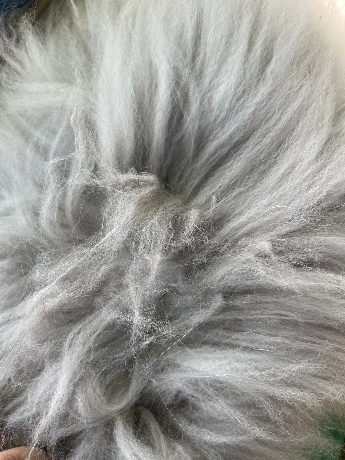 Angora Wool/Fiber Etsy