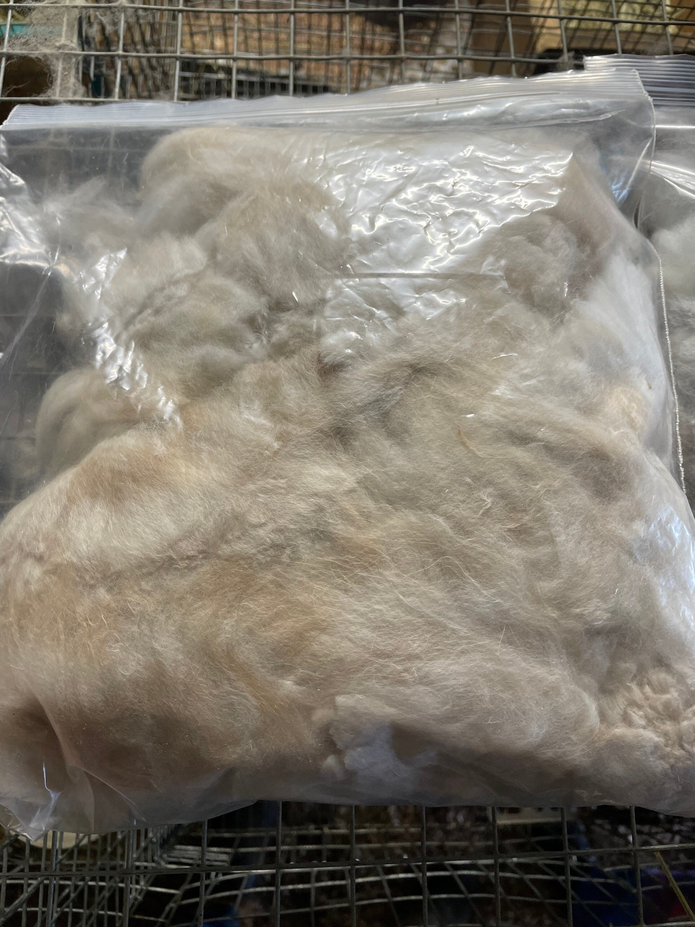 Angora Wool/Fiber Etsy