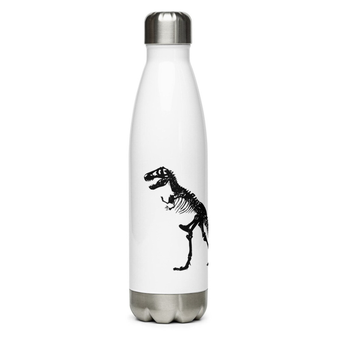 dinosaur stainless steel water bottles