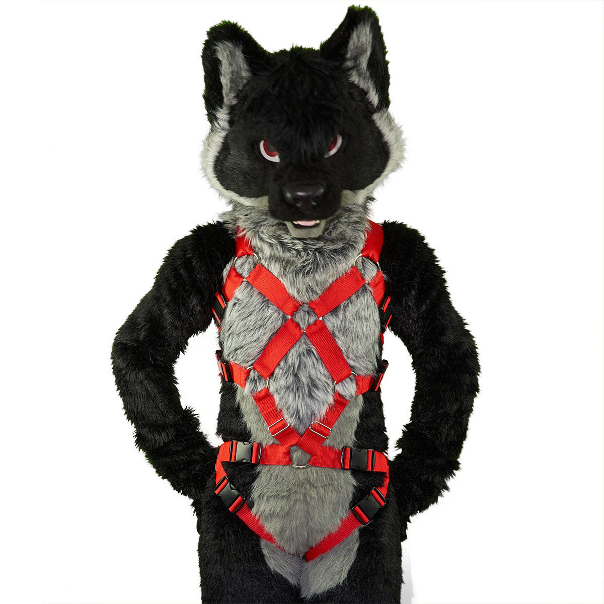 Full X Chest Harness With Leg-straps Furry Harness Fursuit Harness - Etsy