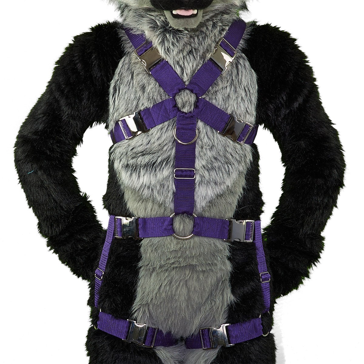 Furry leash hotsell