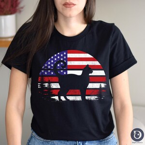 Chat du 4 juillet PNG : drapeau patriotique des États-Unis (téléchargement numérique