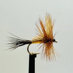 May include: A close-up of a fishing fly with a gold hook and a black base. The fly features a tan body, brown and tan wings, and black tail feathers. The fly is designed for fly fishing.