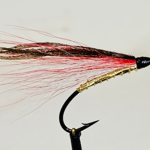 Coho Simmons