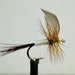 see more listings in the Dry Flies section