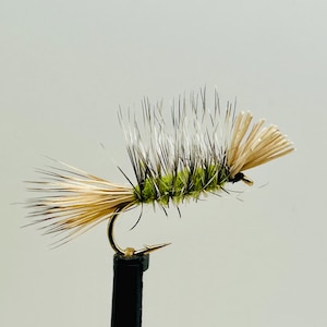 May include: A detailed image of a fly fishing lure. The lure has a green body, tan wings, and a black and white tail. The hook is gold-coloured and attached to a black base. The fly is designed to imitate an insect.