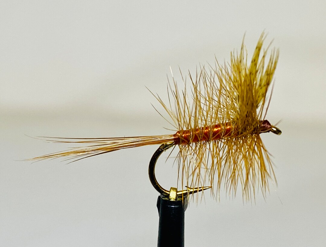 ufmウエダ× Catskill Research Inc. カンタータ2400 Vandal - Purple Haze CF (Pre-order) – Null K&T LLC