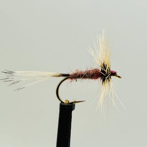 Conover