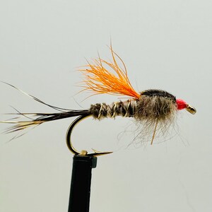 Adirondack Nymph