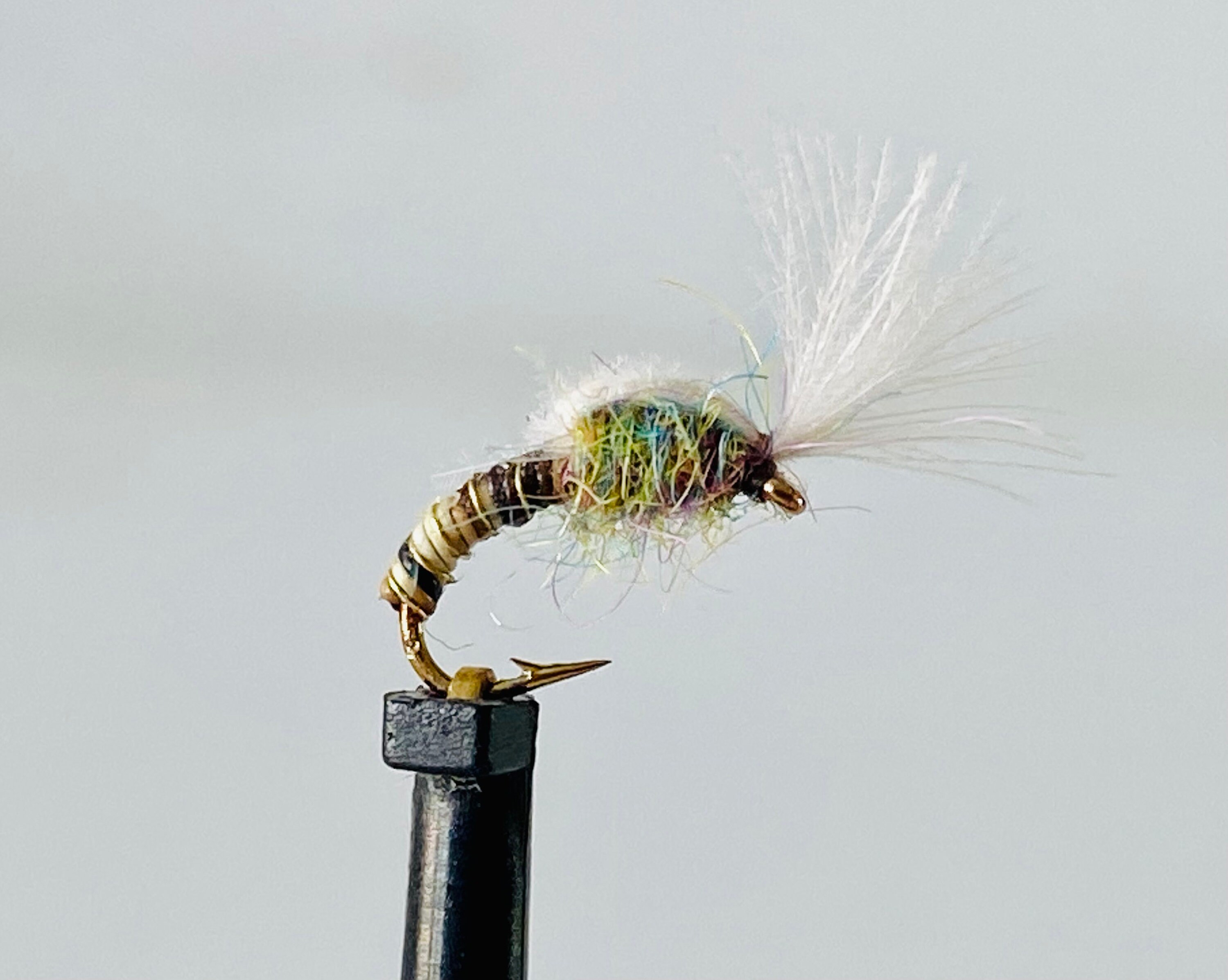 Javelina Emerger Ireland