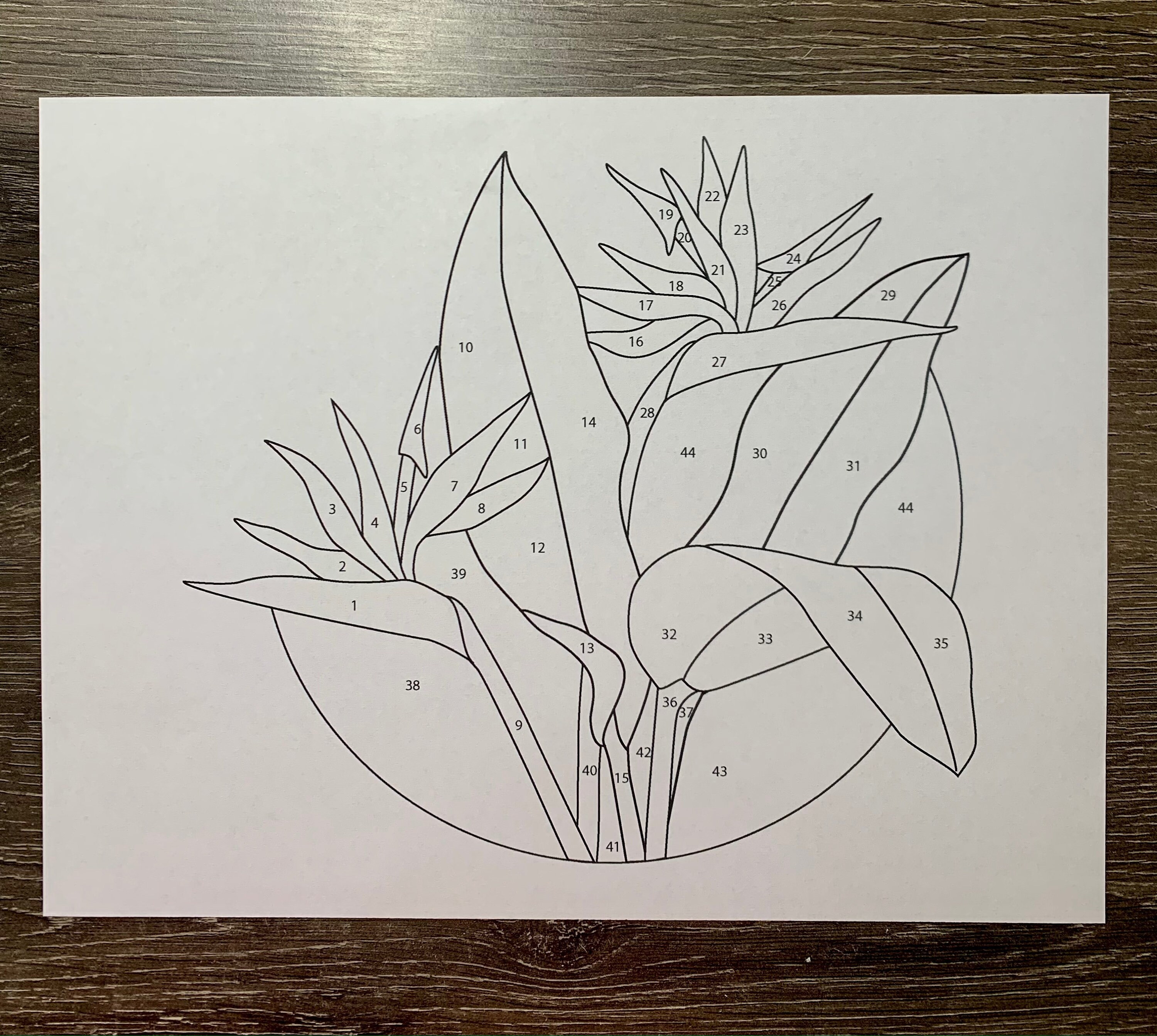 Digital (PDF) Stained Glass Pattern - Bird of Paradise Plant (version 1 ...