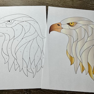 Può includere: Un disegno in bianco e nero della testa di un'aquila con sezioni numerate, e un'immagine a colori della stessa testa di aquila con piume bianche, dorate e marroni.